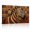 D, variant on XaaKee Savannah Symbology Canvas Wall Art Zebra African Portrait Art Prints Inner Framed 18*12Inch