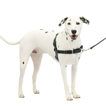 PetSafe Easy Walk No-Pull Dog Harness Perfect for Leash & Harness Training