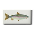 thumbnail image 1 of Epic Graffiti 'Angling in the Stream I' by Courtney Prahl, Canvas Wall Art, 24"x12", 1 of 2