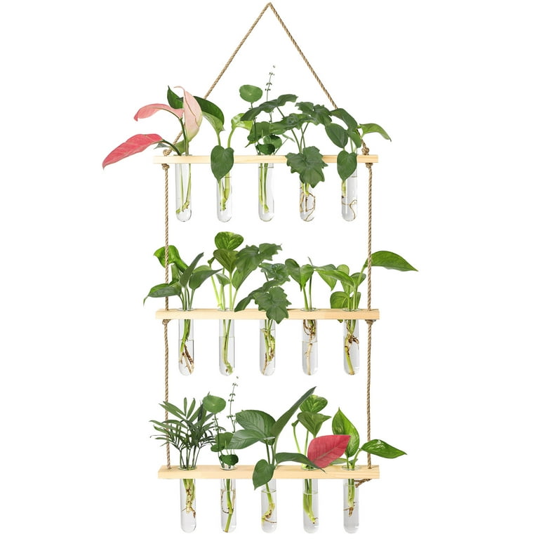 HYINDOOR Wall Hanging Planter Terrarium 2 Tired Test Tube Vase Glass  Planter Plant Propagation Station Plant Hangers of Rope with Wooden Stand  and 8