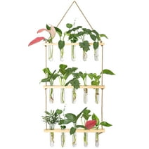 XXXFLOWER Wall Hanging Propagation Station with Wooden Stand 5 Glass Test Tubes 3 Tiered Planters Wall Terrarium