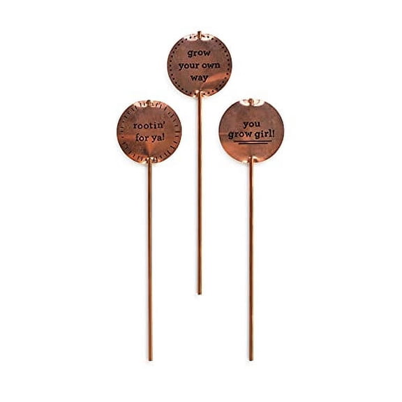 DEMDACO You Grow Girl Copper Finish 7 x 2 Inch Metal Plant Stakes Set of 3