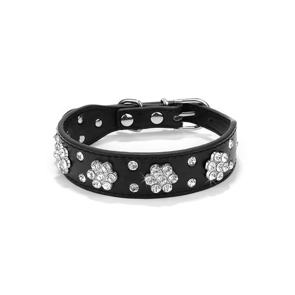 Fashionable Cat Collars