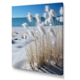 thumbnail image 2 of Designart "Pristine White Sandy Beach Grace" Coastal Canvas Wall Art, 2 of 7