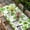 Green, variant on St Patrick's Day Table Cloths for 4 Foot Rectangle Tables, Lucky Shamrock Leaf Plants Spring Green Patio Waterproof Elastic Fitted Tablecloths, Washable Rectangular Table Cover for Camping