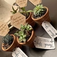 thumbnail image 2 of Raindrops Khaki Wood Plant Labels Durable Garden Markers for Plants 20Pcs, 2 of 6