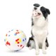 thumbnail image 5 of Methold Pelota de juguete para mascotas, juego de ejercicio de entrenamiento de animales para interiores y exteriores para el hogar, juguete Suministros para perros, 5 of 6