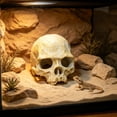 thumbnail image 5 of Cififendec Halloween Aquarium Skull Ornament, 3.93"×3.46", Plastic Hideout Cave for Fish Tank Reptile Terrarium Turtle Lizard Shrimp Hiding Decor, 5 of 6