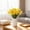 C, variant on Artificial Daffodils 14.5 Inch Yellow Flowers, Realistic Spring Flowers for Indoor Outdoor Decor, Daffodil Flower Arrangement for Home Garden Wedding