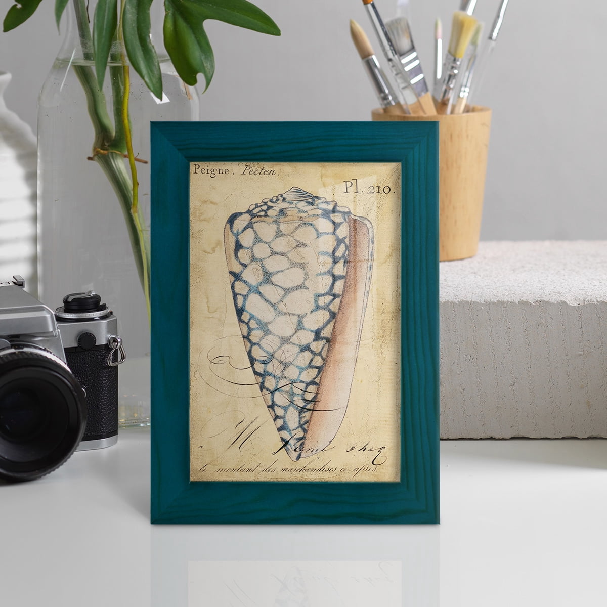 Seashell Ephemera IV - Framed Print w/glass - Ocean Blue