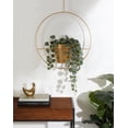 thumbnail image 6 of Kate and Laurel Opyd Modern Hanging Hoop Planter, 19.5 Inch Diameter, Gold, Sophisticated Floating Planter with Pot, 6 of 7
