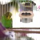 thumbnail image 2 of 2Pcs Parrot Stainless Steel Bowl Water Cup Parrot Trough with Wooden Rack, 2 of 3