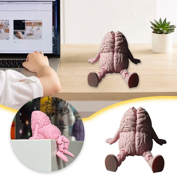 BotaniNest 3D Printed Brain Partner Ornaments Toys Foldable Brain Toys