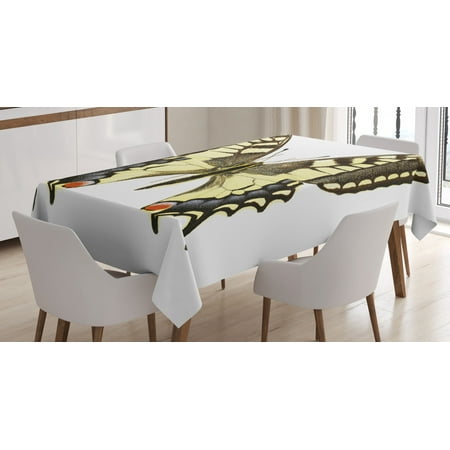 

Swallowtail Butterfly Tablecloth Yellow Papilio Machaon Old World Swallowtail Wildlife Biology Rectangular Table Cover for Dining Room Kitchen 60 X 90 Inches Yellow Brown Black by Ambesonne