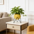 thumbnail image 4 of Macetas grandes con soporte | Macetas decorativas de suelo | Macetas elevadas para plantas de interior con orificios de drenaje, 4 of 6