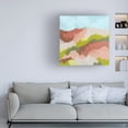 thumbnail image 3 of June Erica Vess 'Valley Blush I' Canvas Art, 3 of 4