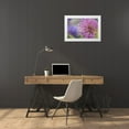 thumbnail image 3 of Terrill, Steve 18x13 White Modern Wood Framed Museum Art Print Titled - Oregon, Portland Close-up of pink clover bloom, 3 of 4