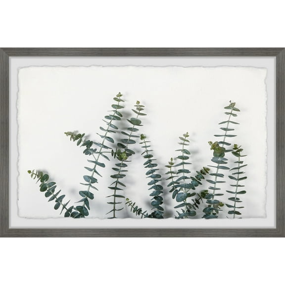 Marmont Hill Bloom and Grow Framed Wall Art, 20" x 30"