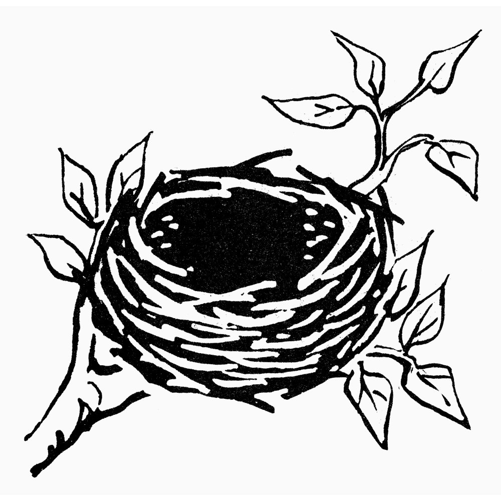 Bird'S Nest. /Na Symbol For Refuge. Line Engraving. Poster Print by (24