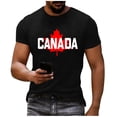 thumbnail image 2 of Mens Big & Tall Short Sleeve T-Shirts Graphic Crewneck Casual Printed Tee Summer Beach Hawaiian Vintage Shirts Size M-4XL Black, 2 of 7