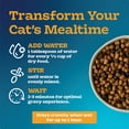 thumbnail image 5 of Blue Buffalo Tastefuls Irresistible Gravy Experience Adult Indoor Cat Dry Food, Salmon & Brown Rice Recipe, 10-lb. Bag, 5 of 12