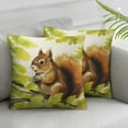 thumbnail image 2 of Nawypu  Decorative Throw Pillow Covers Cute Animal Squirrel Print Pillowcases Cushion Covers Home Bed Living Room Decor 2pc, 2 of 6