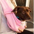 thumbnail image 7 of iPrimio Dog and Cat Sling Carrier - Hands Free Reversible Pet Papoose Light Blue Bag - Soft Pouch and Tote Design - Suitable for Puppy, Small Dogs, and Cats for Outdoor Travel, 7 of 7