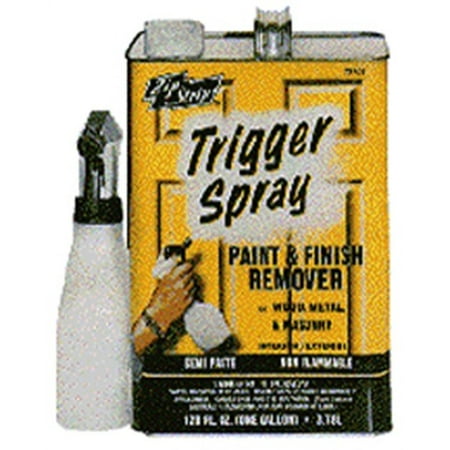 QT Spr Paint Remover