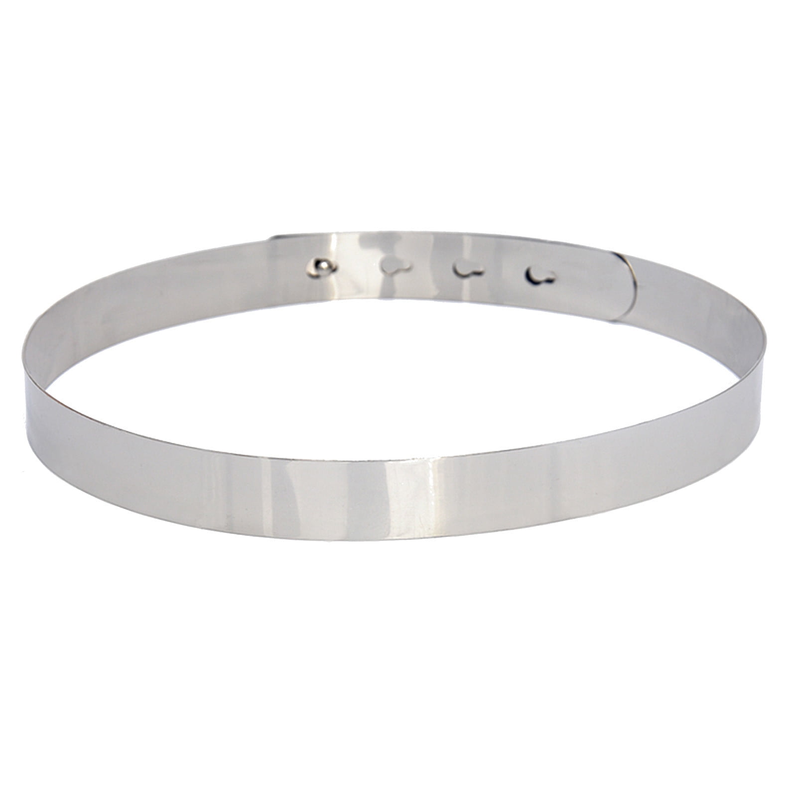 Silver Metallic Belts