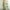 Green, variant on Womens Plus Size Clearance Dresses Fashion Women Summer Casual Backless Solid Color Bandage Sexy Backless Dress