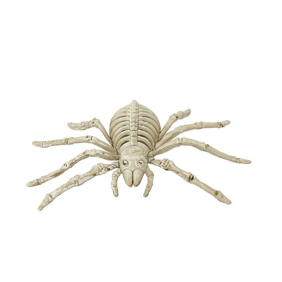 Bone Color Spider Skeleton Halloween Decoration – 10-Inch Spooky and Realistic Decor