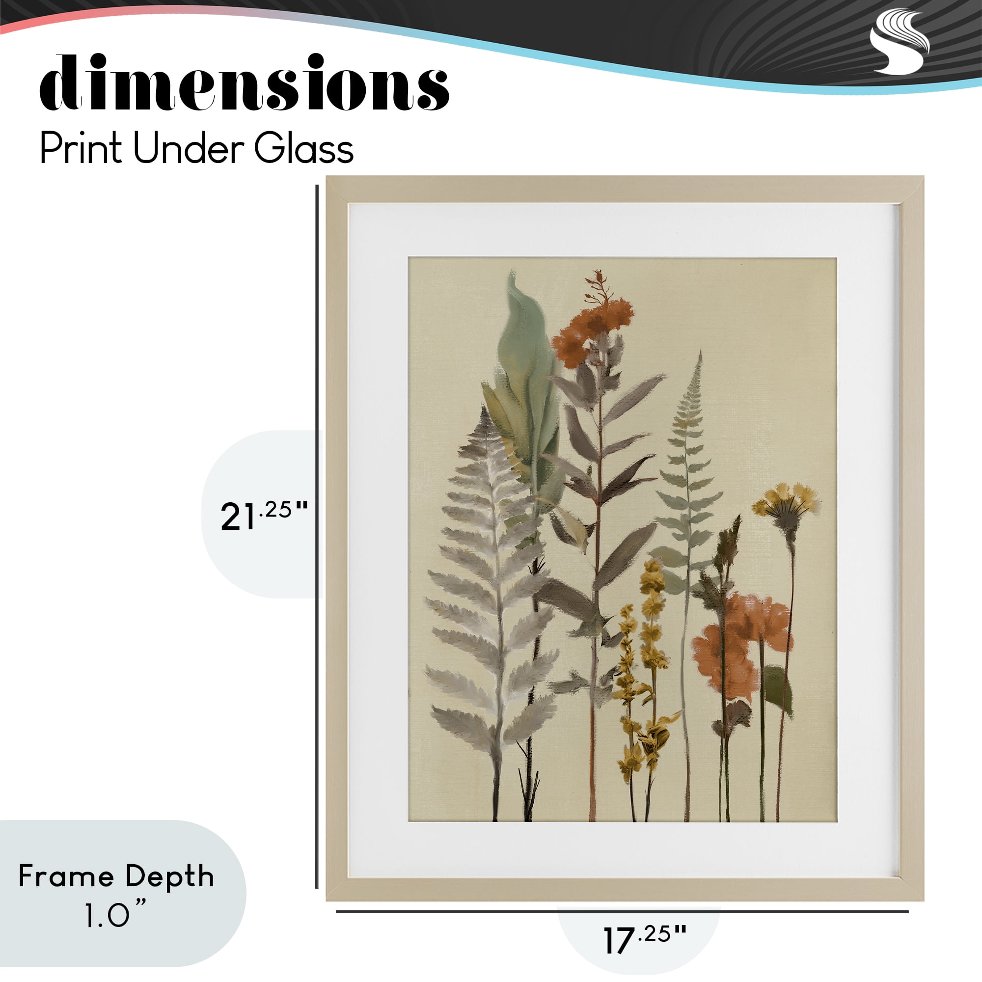 Stupell Industries Fall Botanicals and Ferns Birch Framed Print Under Glass, design by Elizabeth Medley