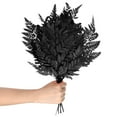 thumbnail image 1 of Paquete de 10 helechos, 15" vegetación natural seca con tallos para manualidades de bricolaje en casa y decoración de bodas, plantas secas [Negro], 1 of 1