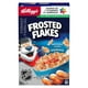 Céréales Kellogg's Frosted Flakes, format familial, 580 g 580g – image 5 sur 18