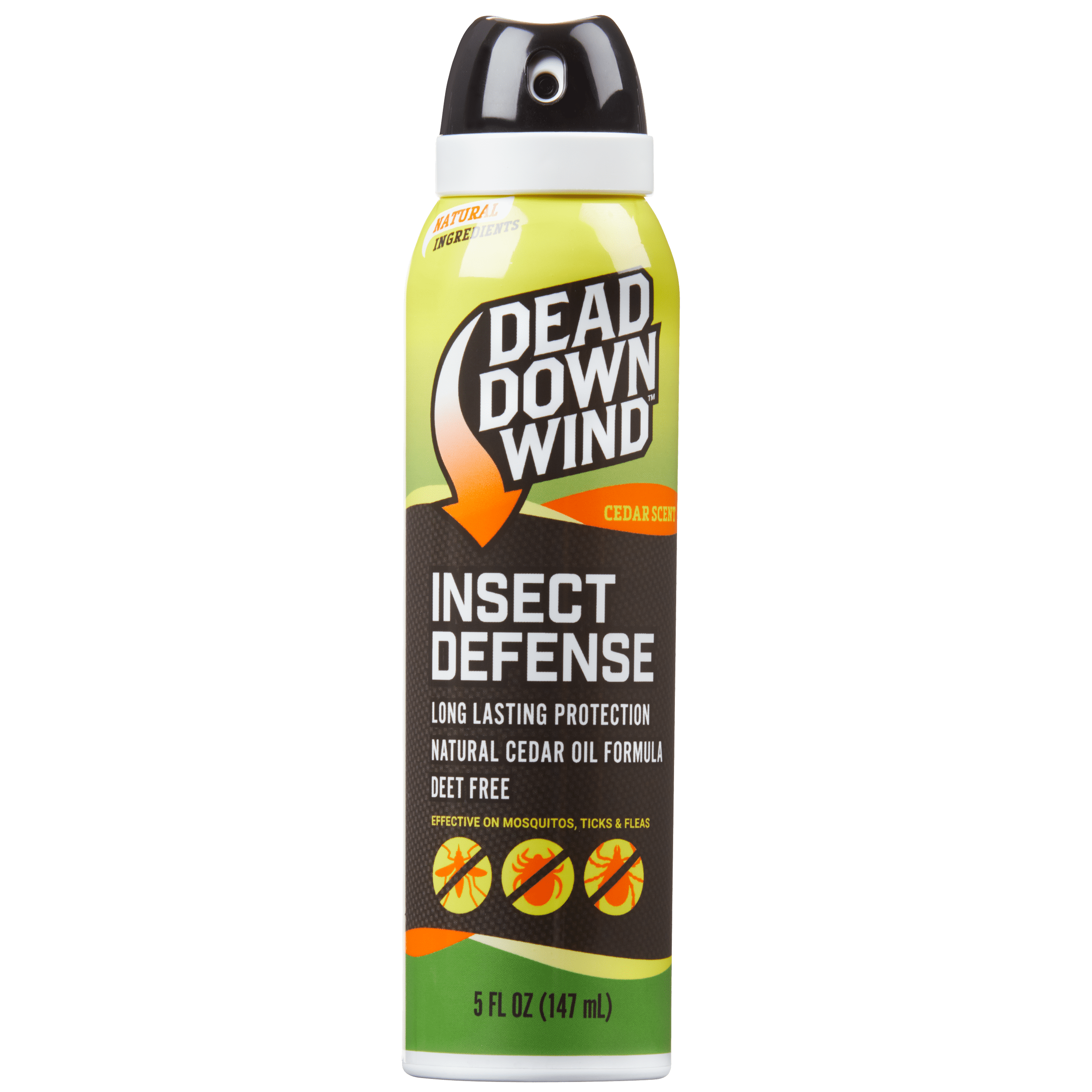 clear defense pest control clear defense pest control