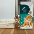 thumbnail image 7 of Breeder Celect Cat Litter | 99% Recycled Paper | Highly Absorbent | Natural & Nontoxic | 7 lb bag, 7 of 7