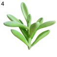 thumbnail image 1 of Succulent Plants , 1Pc Artificial Succulent Plant Bonsai Stage Garden Home Party Desktop Decoration Real Live Potted Succulents / Unique Indoor Cactus Decor by Plants for Pets, 1 of 8