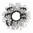 thumbnail image 1 of Corona decorativa de simulación de Halloween: telaraña realista para decorar puertas, paredes y fiestas., 1 of 4