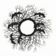 thumbnail image 2 of Halloween Simulation Decorative Wreath - Realistic Web For Door Wall Party Decor, 2 of 4