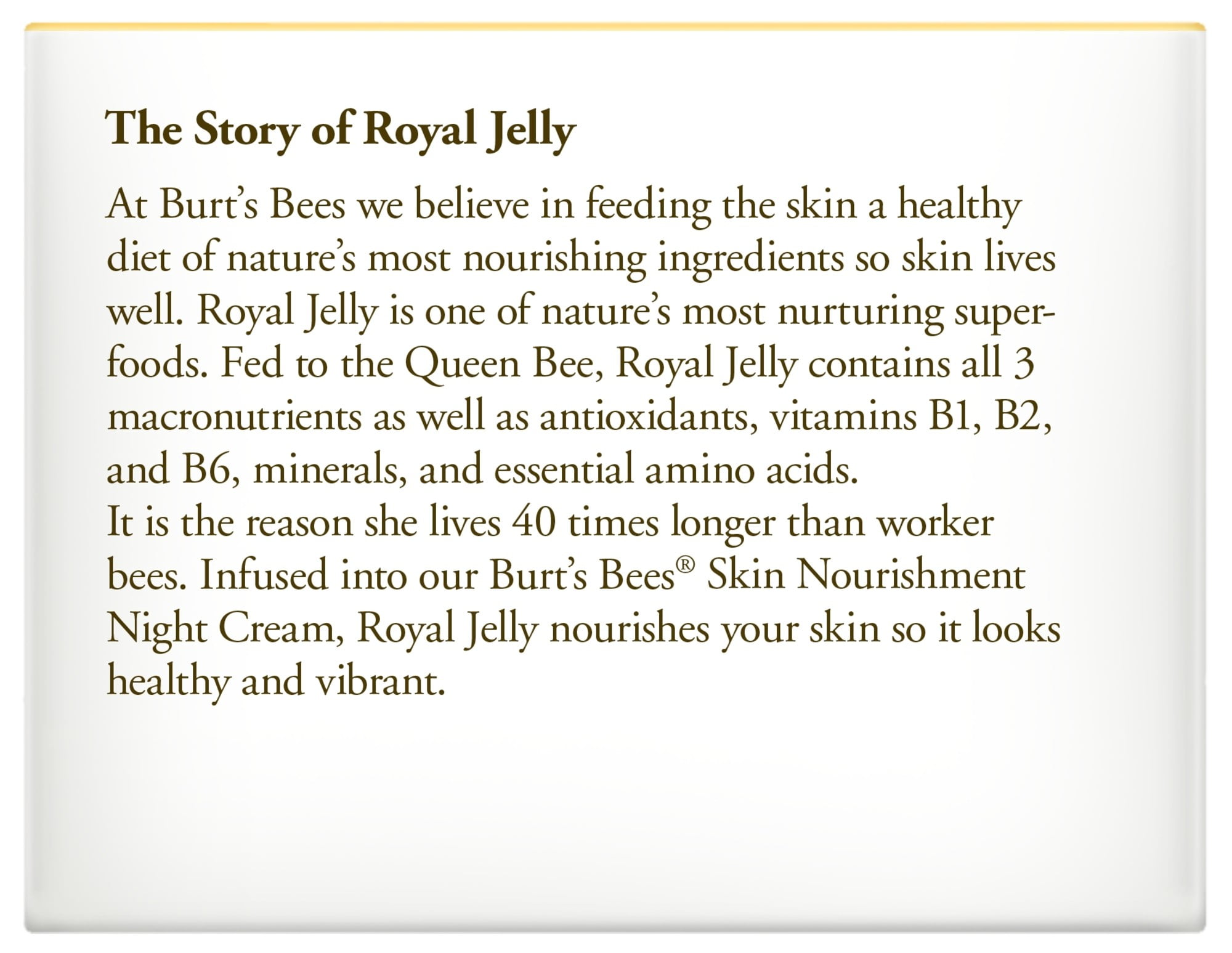 burt's bees nourishment night cream