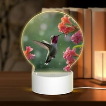 Daiia Humming Bird 1 Pattern Acrylic Night Light, LED Touch Light, Bedroom Night Light, Soft Glowing Lamp Perfect Gift for Mother's Day, Birthday, or Christmas