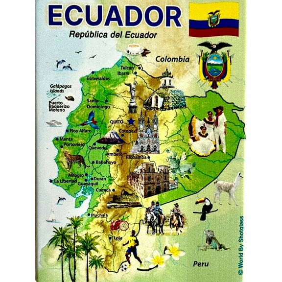 Ecuador Graphic Map and Attractions Souvenir Fridge Magnet 2.5" X 3.5"