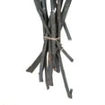 thumbnail image 5 of Vickerman Natural Botanicals 13" x 1-3" Red Gum Branch Gray Frosted, 14 stems per unit, 5 of 6