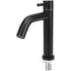 thumbnail image 1 of Water Faucet - Stainless Steel Bathroom Basin Sink Faucet, Single Cold Water Tap with Hose - Black, 1 of 5