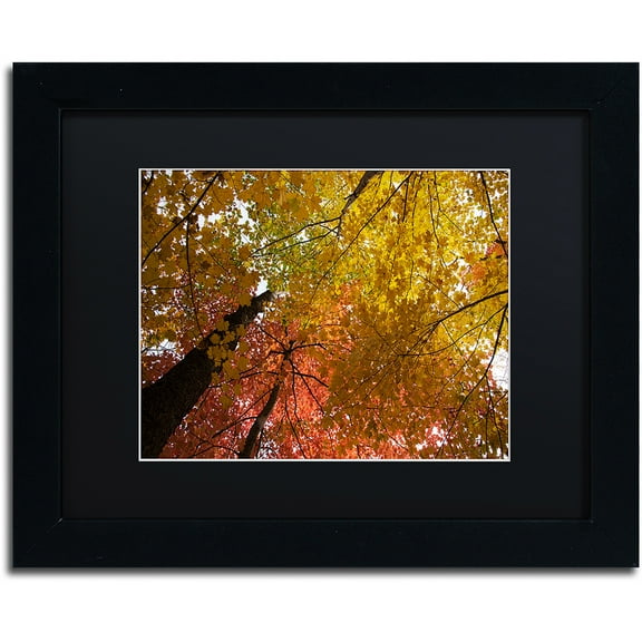 Trademark Fine Art "Spectacular Brilliant Autumn Trees" Canvas Art by Kurt Shaffer, Black Matte, Black Frame
