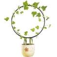 thumbnail image 3 of Love Heart-shaped Round Vine Climbing Rack Flower Plant Trellis Support Frame, 3 of 6