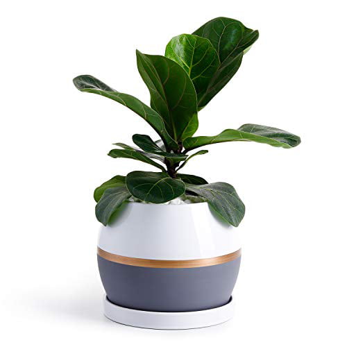 POTEY Ceramic Planter Flower Plant Pot - 5.1? with Drain Hole Saucer-Enough  Space - Modern Decorative for Indoor Planters-White with Gold and Grey 