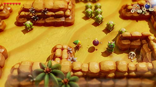 Link's awakening on sale for switch