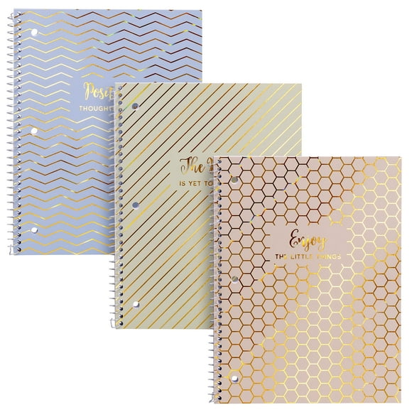 Pukka Pad , Cahiers à Spirale à Sujet Unique Haze avec 100 Pages à 3 Trous, Papier Ligné Perforé 80 G/m2 avec Bords Perforés, 10,5 x 8 Po, Lot de 3