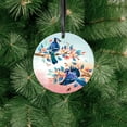 thumbnail image 6 of WIRESTER Large 3 inch Acrylic Ready to Hang Ornament, Hanging Ornaments for Christmas Tree Holidays Party Home Office Xmas Tree Decoration Gift - Blue Jay Birds, 6 of 7